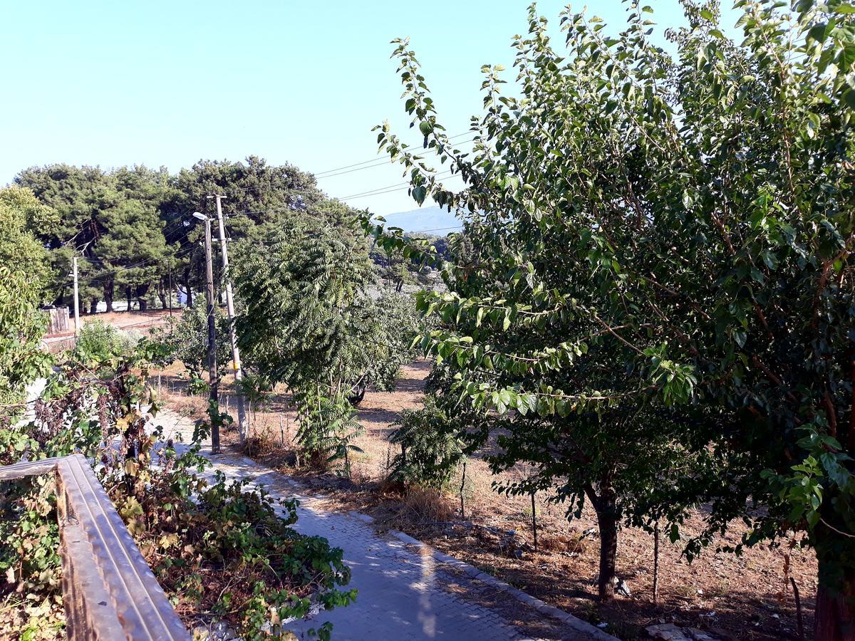Can Efes Hotel Selcuk Exterior photo